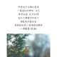 席慕容